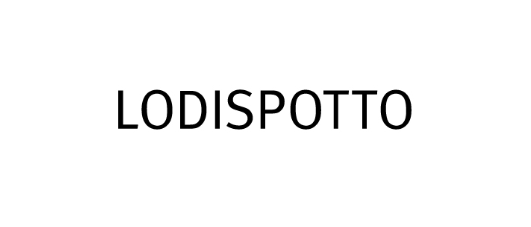 ロディスポット(LODISPOTTO)福袋の中身ネタバレに関する参考画像