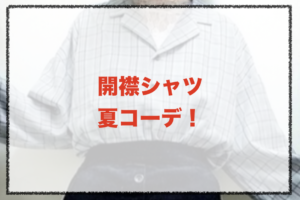 開襟シャツの夏向けコーデに関する参考画像