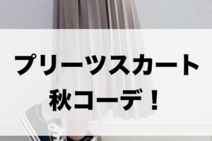 プリーツスカートの秋向けコーデに関する参考画像
