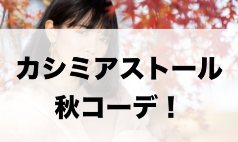 カシミヤストールの秋向けコーデに関する参考画像