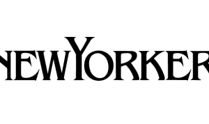 ニューヨーカーの年齢層に関する参考画像