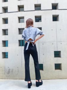 エモダの系統の参考画像