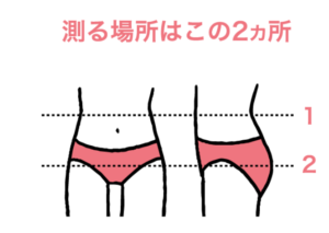 アンフィのサイズ感やイメージに関する参考画像