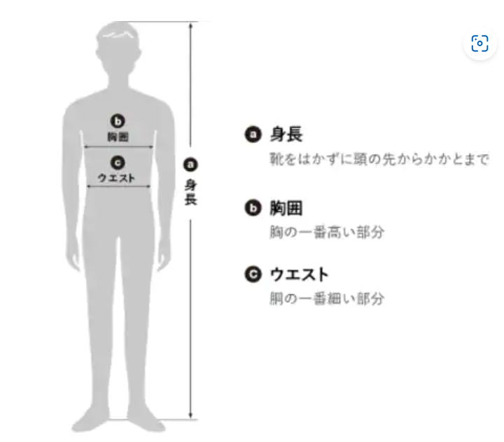 グンゼのサイズ感やイメージに関する参考画像