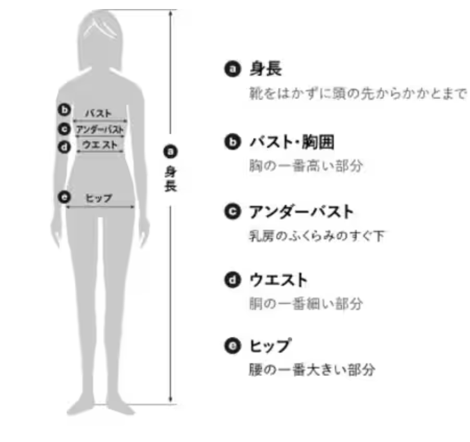 グンゼのサイズ感やイメージに関する参考画像