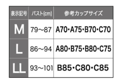 グンゼのサイズ感やイメージに関する参考画像