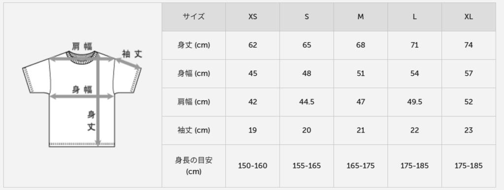 ヘインズのサイズ感やイメージに関する参考画像