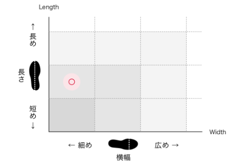 パドリックのサイズ感やイメージに関する参考画像