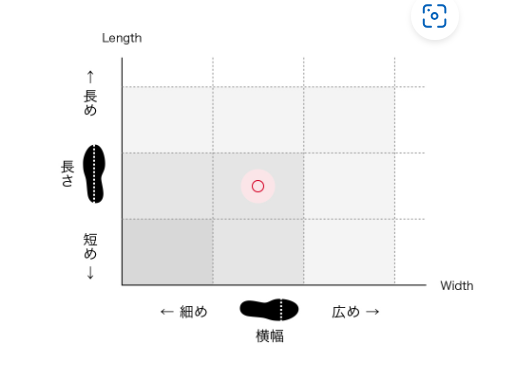 パドリックのサイズ感やイメージに関する参考画像