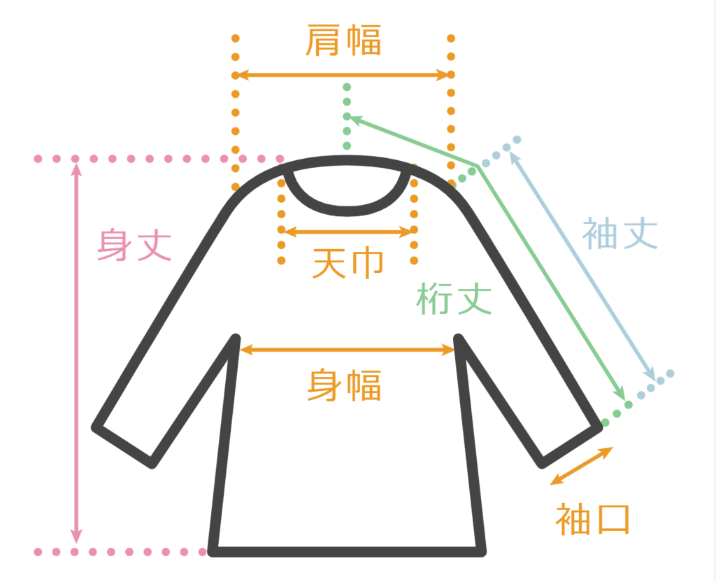 アルジ―のサイズ感やイメージに関する参考画像